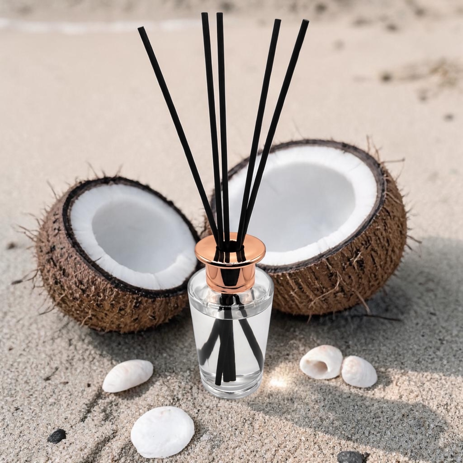 Coconut Beach