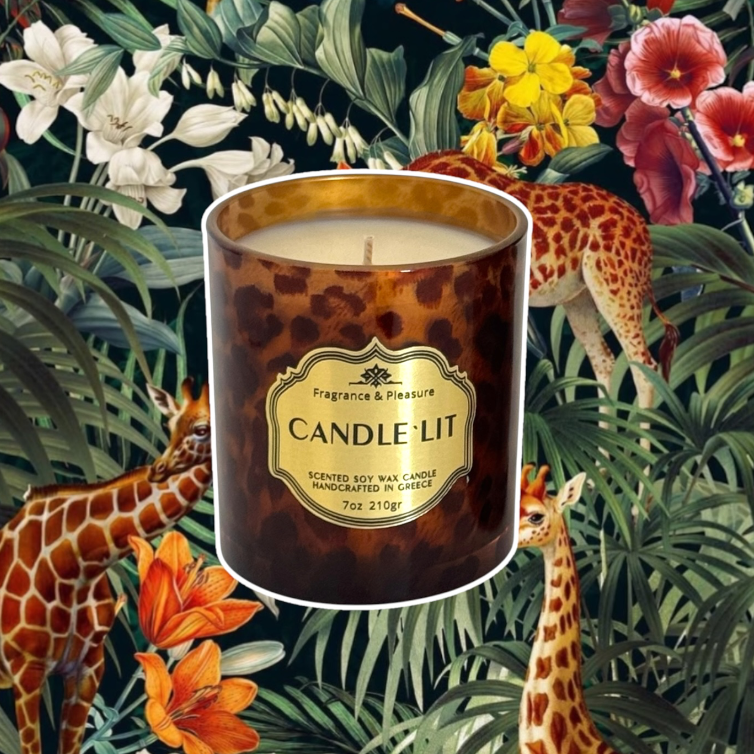 Welcome To The Jungle