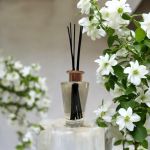 Athenian Jasmine