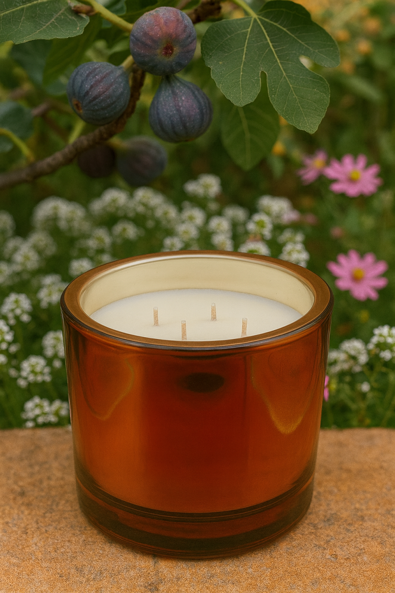 Φωτογραφία από Myconian Fig & Magnolia