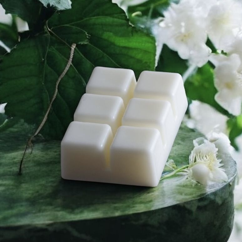 Φωτογραφία από Wax Melts