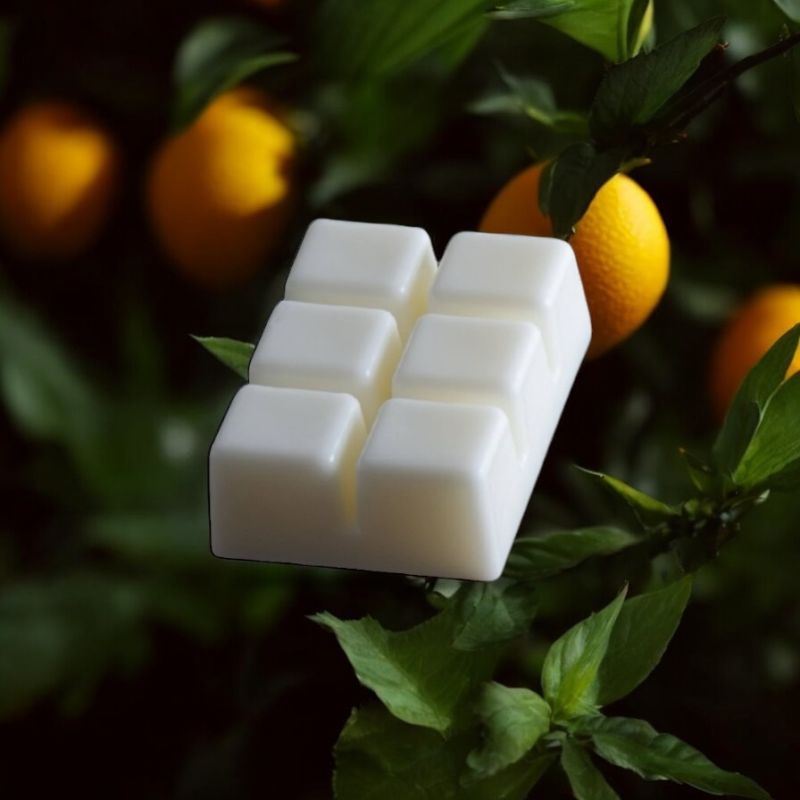 Φωτογραφία από Citrus