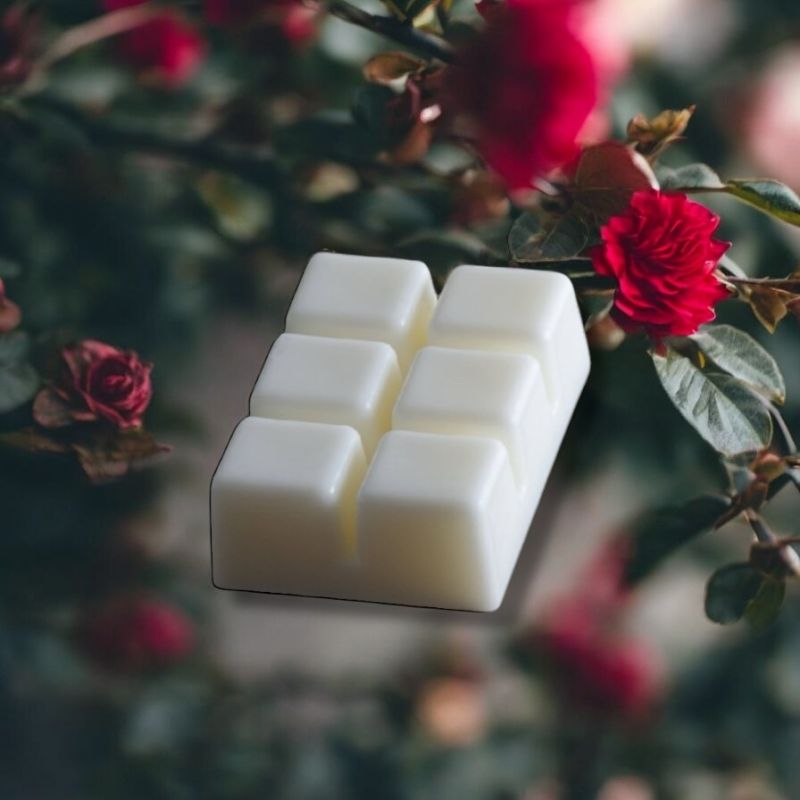 Φωτογραφία από Roses & Vanilla