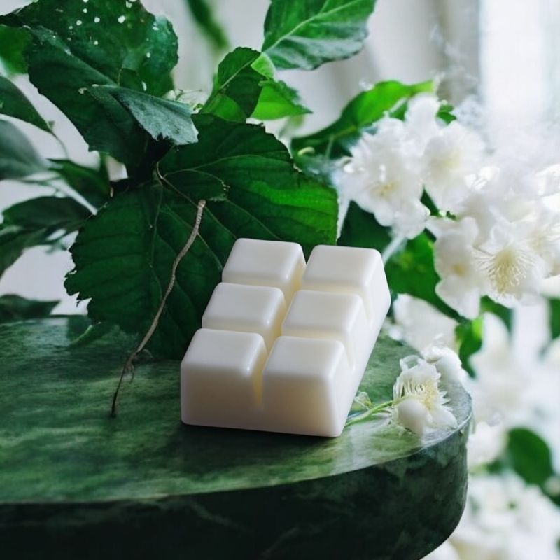 Φωτογραφία από Wax Melts